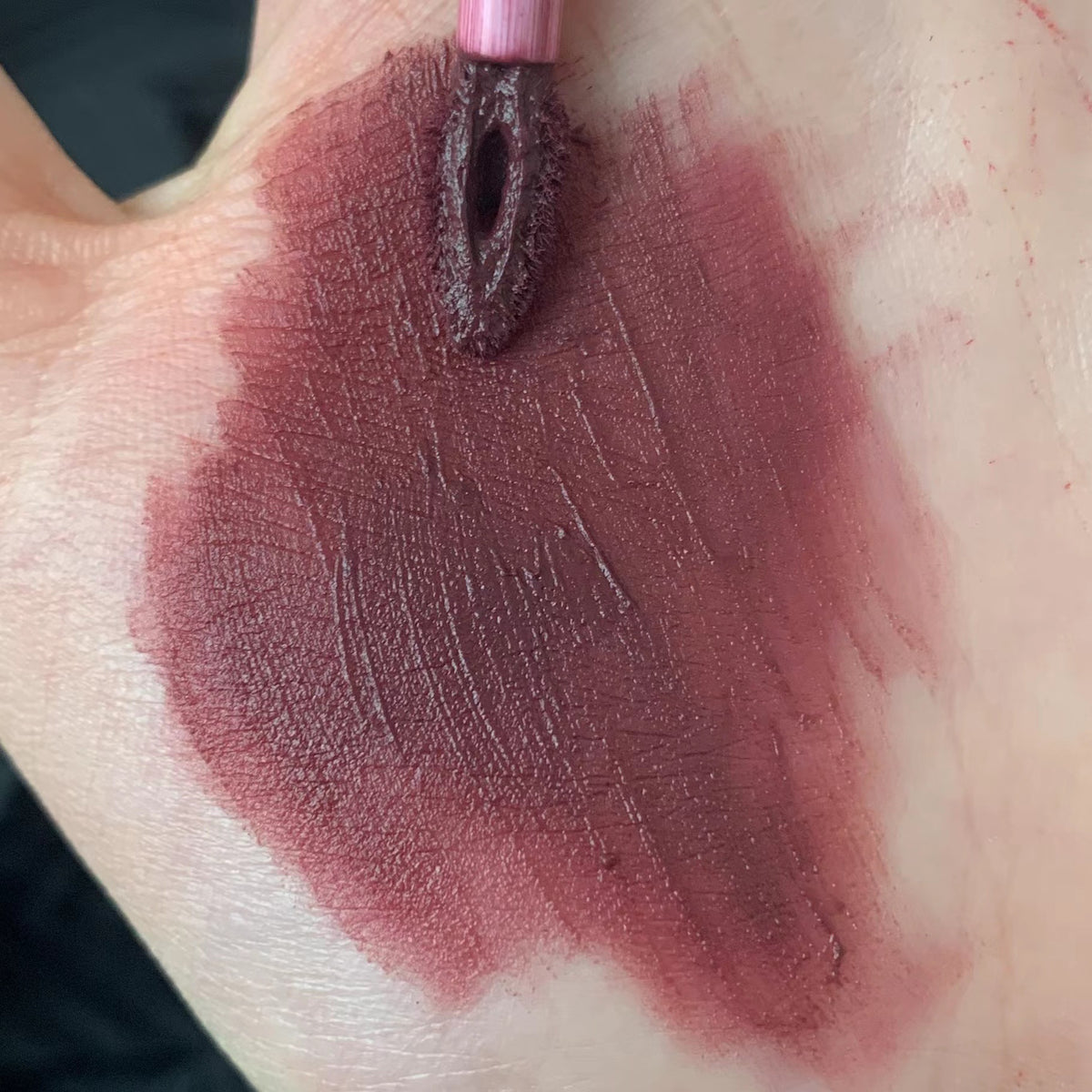👄NEW Velvet Matte Liquid Lipstick  – 🎃Bold Gothic Shades for Halloween & Christmas Holiday Makeup